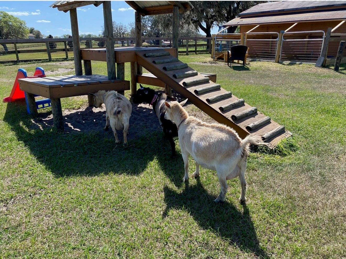 Image 27 of 69 For 20832 Hunter Hill Drive