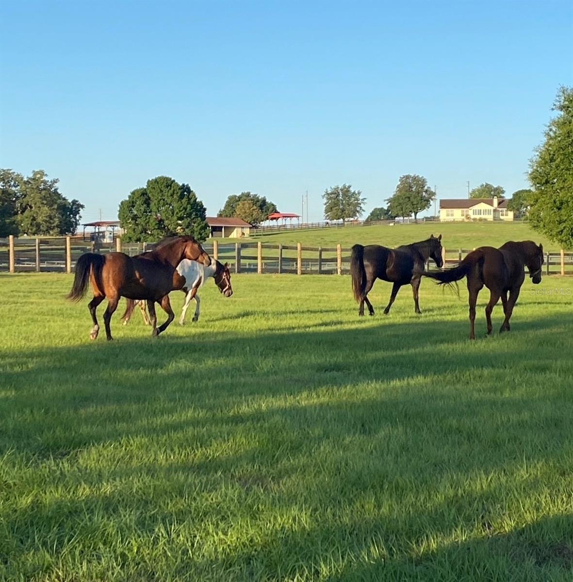 Image 36 of 69 For 20832 Hunter Hill Drive