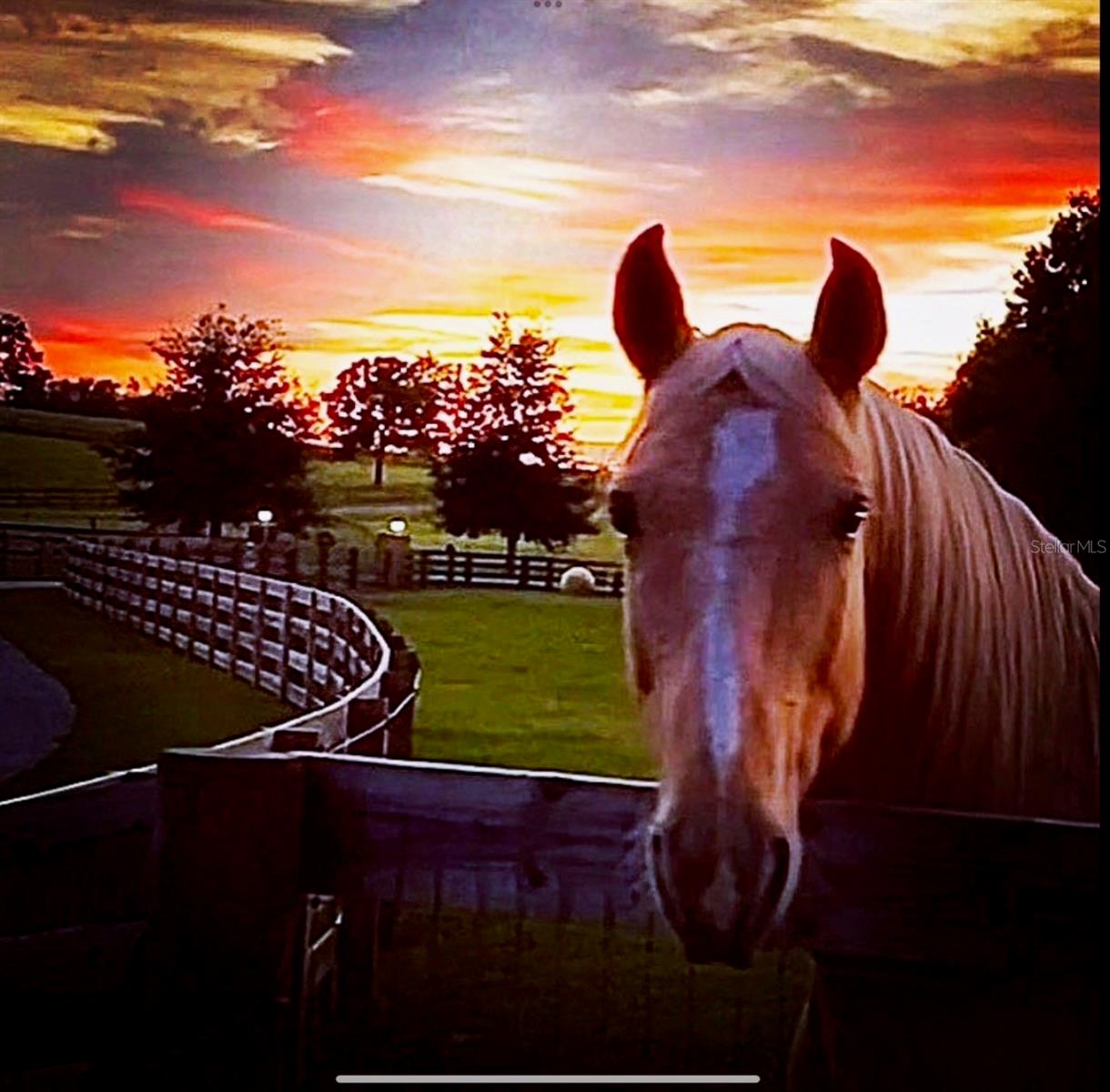 Image 37 of 69 For 20832 Hunter Hill Drive