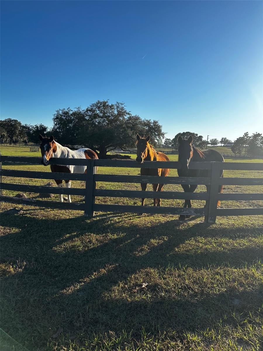 Image 38 of 69 For 20832 Hunter Hill Drive