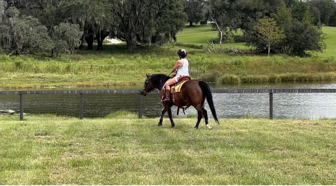 Image 4 of 69 For 20832 Hunter Hill Drive