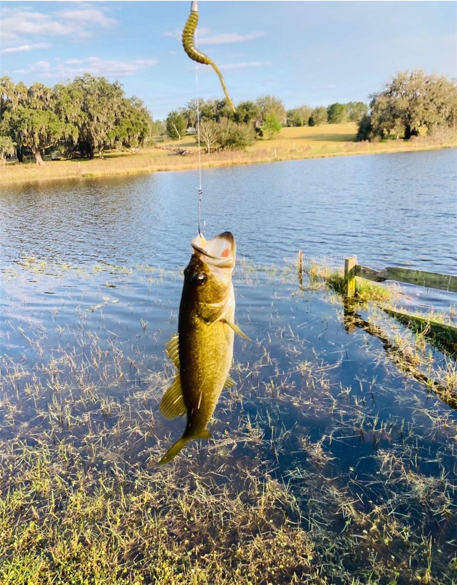 Image 7 of 69 For 20832 Hunter Hill Drive