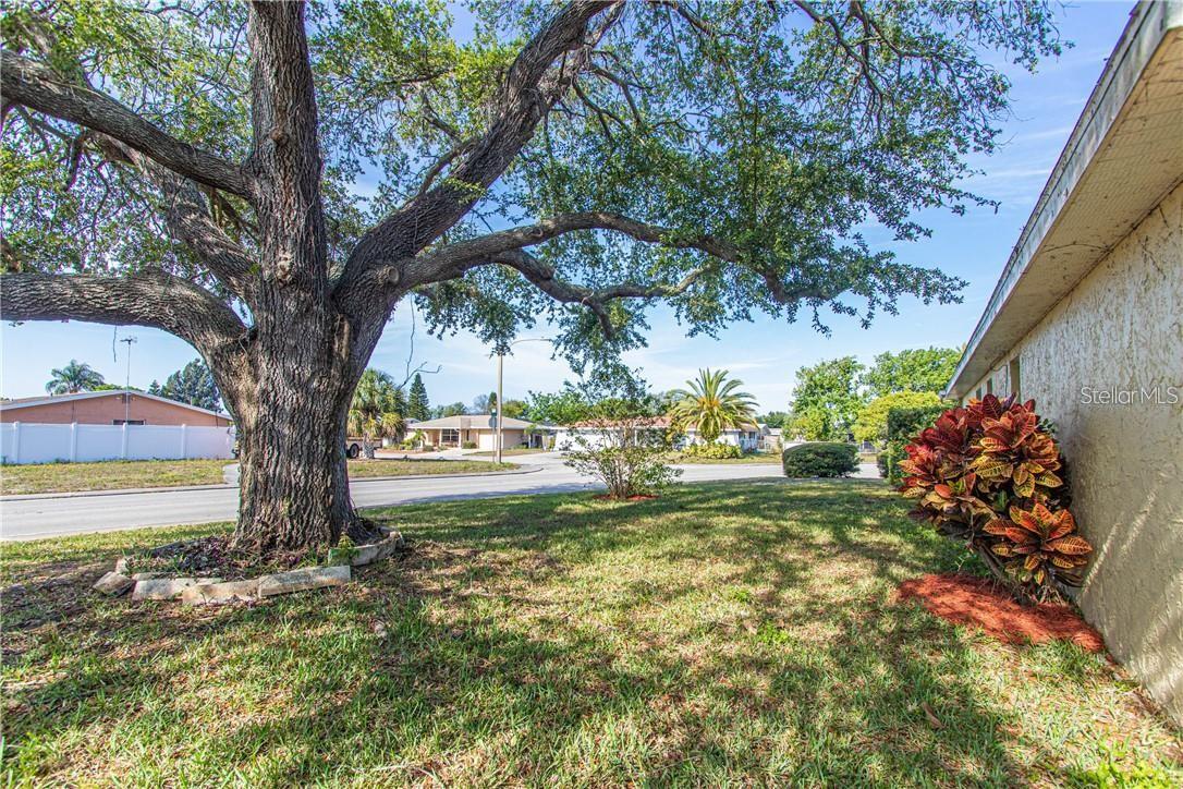 Image 45 of 48 For 8900 Lido Lane