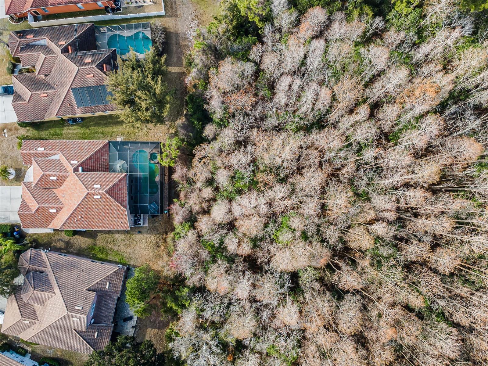 Image 50 of 61 For 9144 Topneck Street