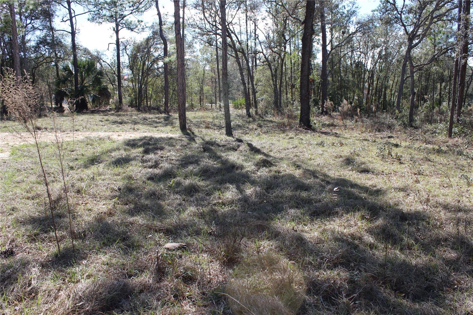 Image 4 of 7 For 0 Quigley Avenue