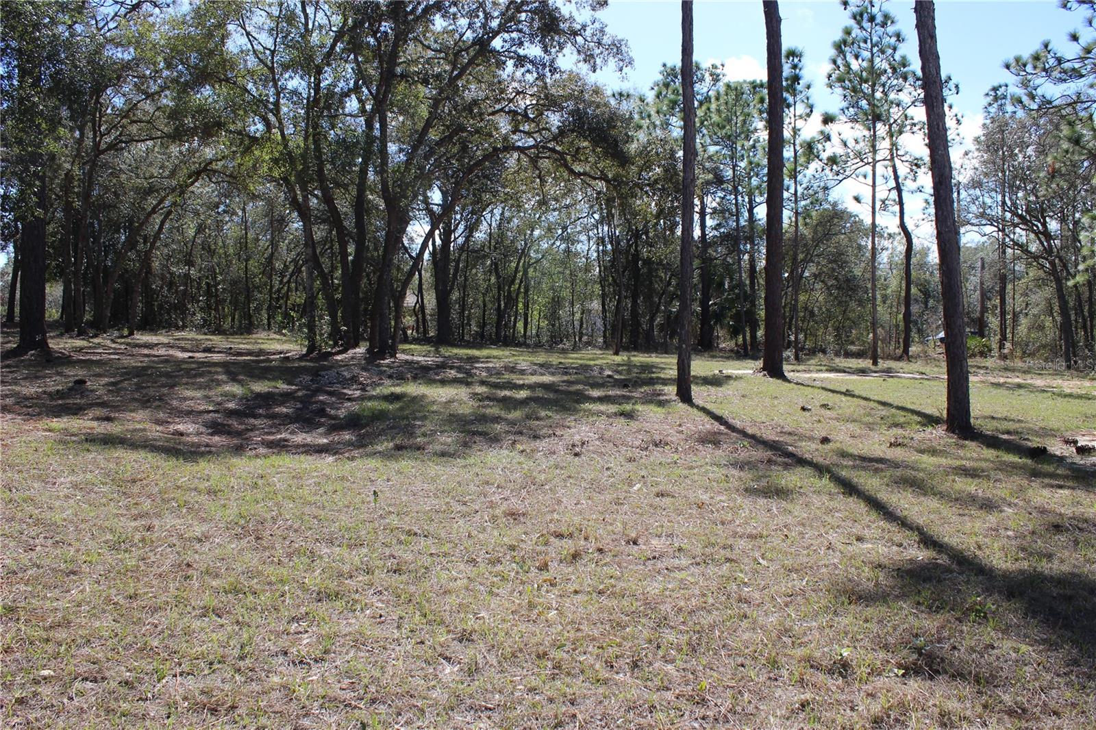 Image 6 of 7 For 0 Quigley Avenue