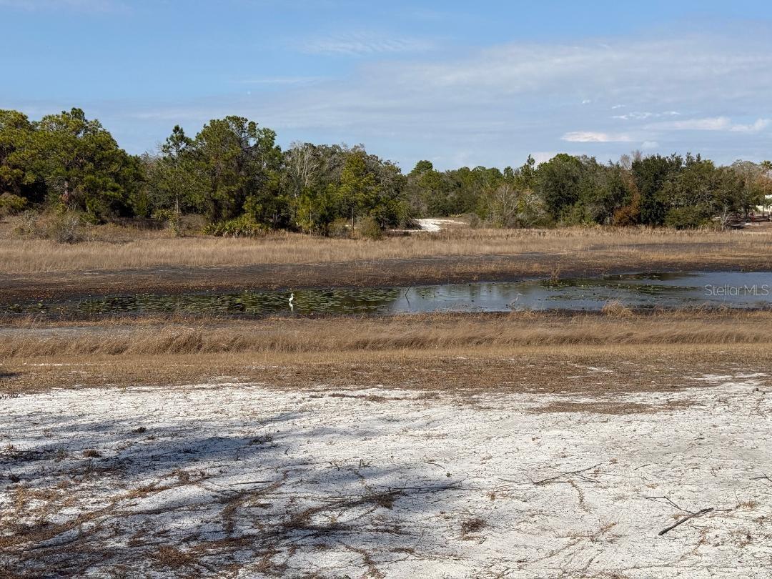 Image 19 of 20 For 9265 Grizzly Bear Lane