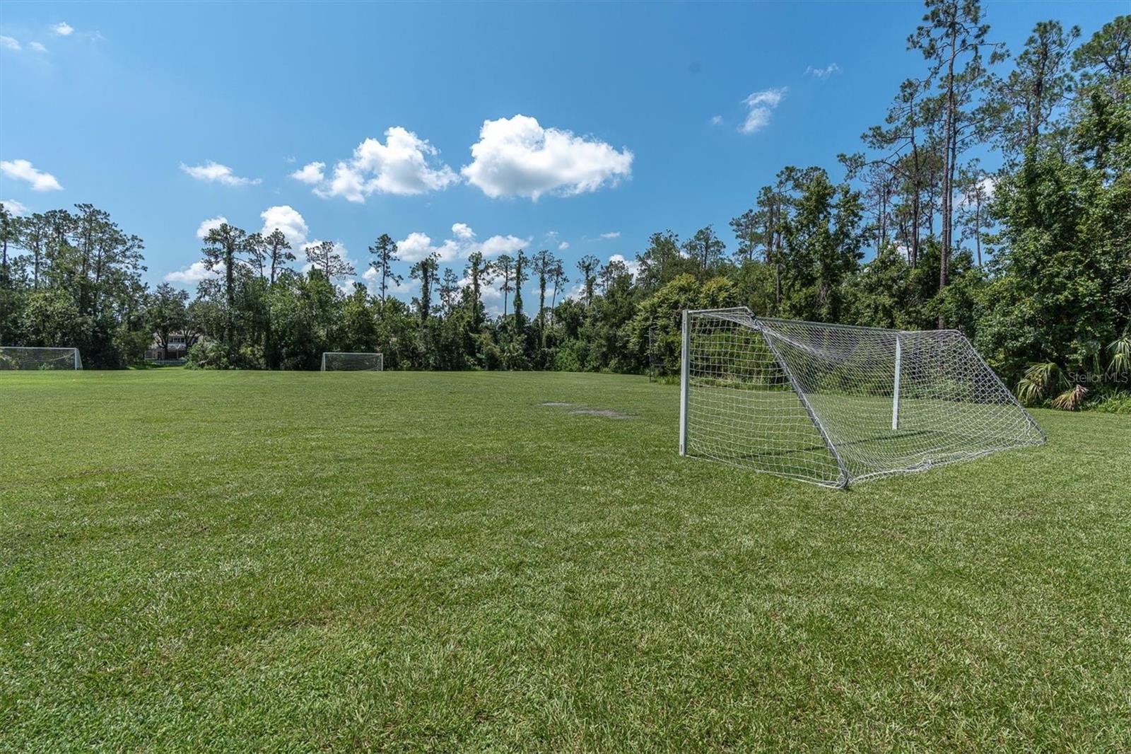 Image 56 of 56 For 27446 Kirkwood Circle