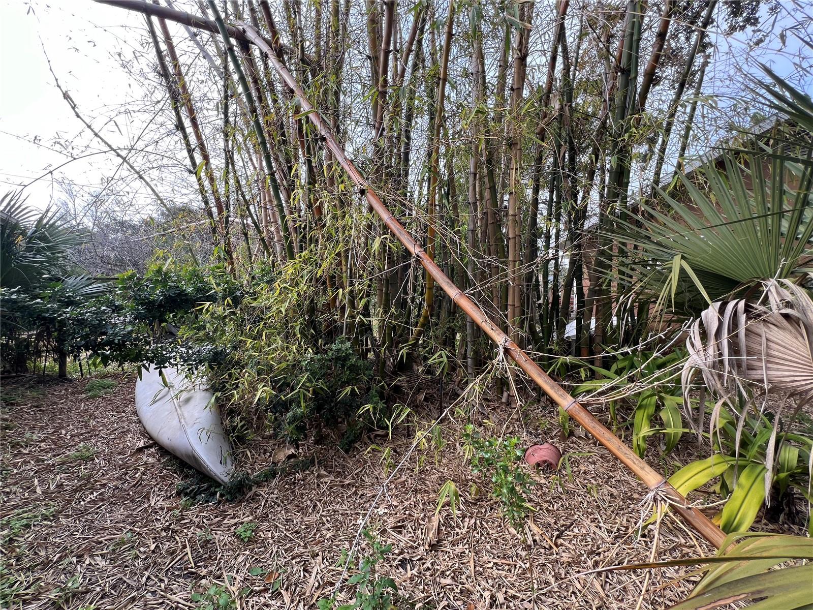 Image 17 of 27 For 6420 Oelsner Street