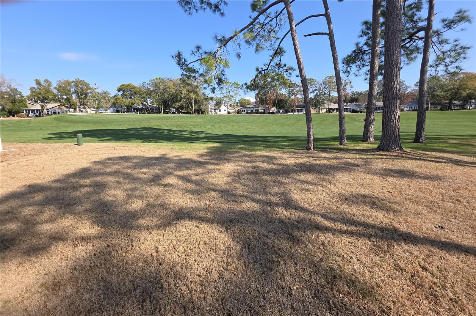 Image 19 of 23 For 2376 Bent Pine Court