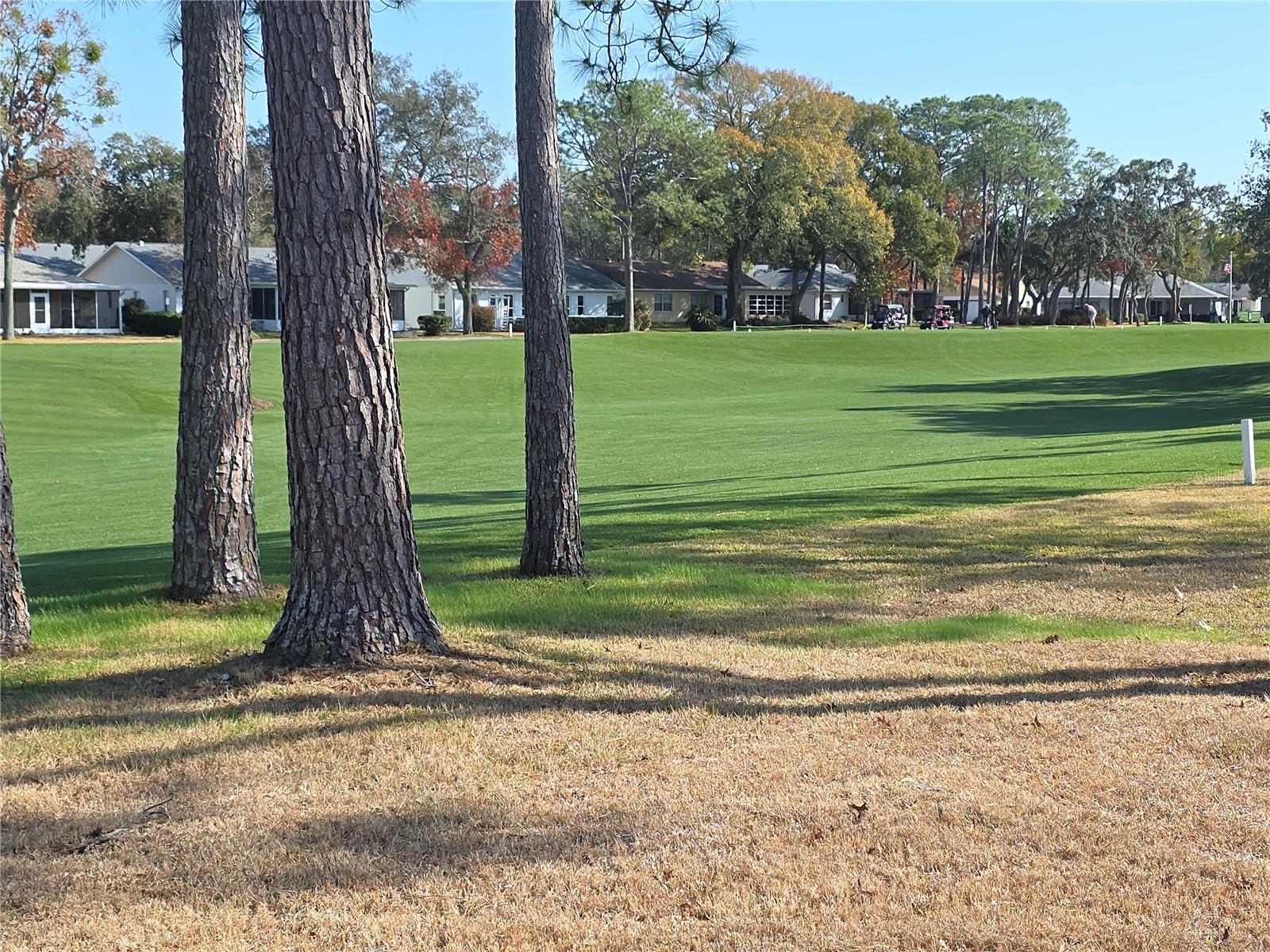 Image 21 of 23 For 2376 Bent Pine Court