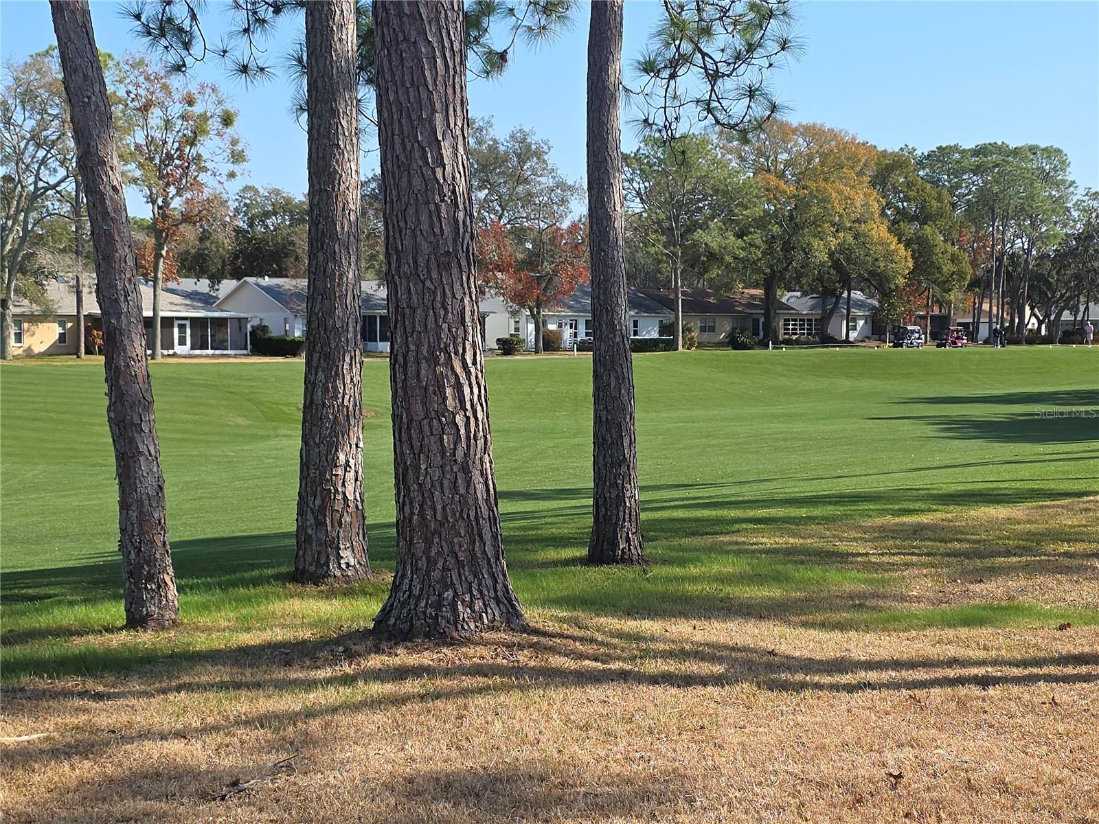 Image 22 of 23 For 2376 Bent Pine Court