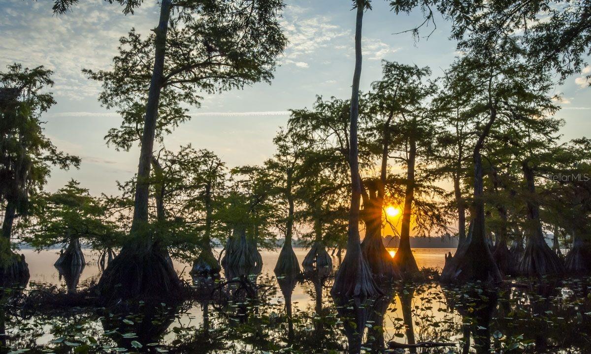 Image 35 of 92 For 30342 Vitex Avenue