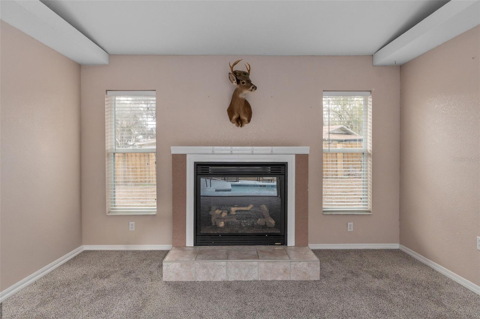 Image 28 of 43 For 10041 Kimbrough Drive