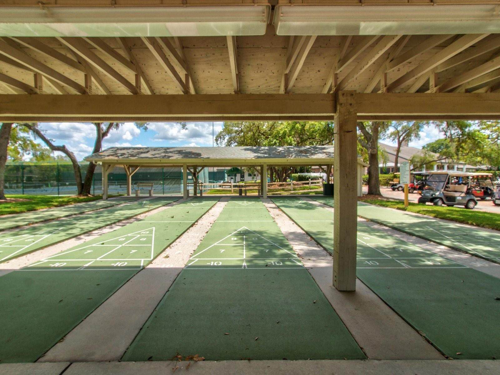 Image 52 of 62 For 6580 Brambleleaf Drive