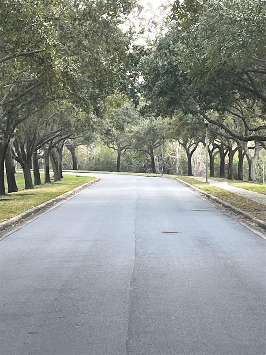 Image 42 of 44 For 1914 Oswego Drive