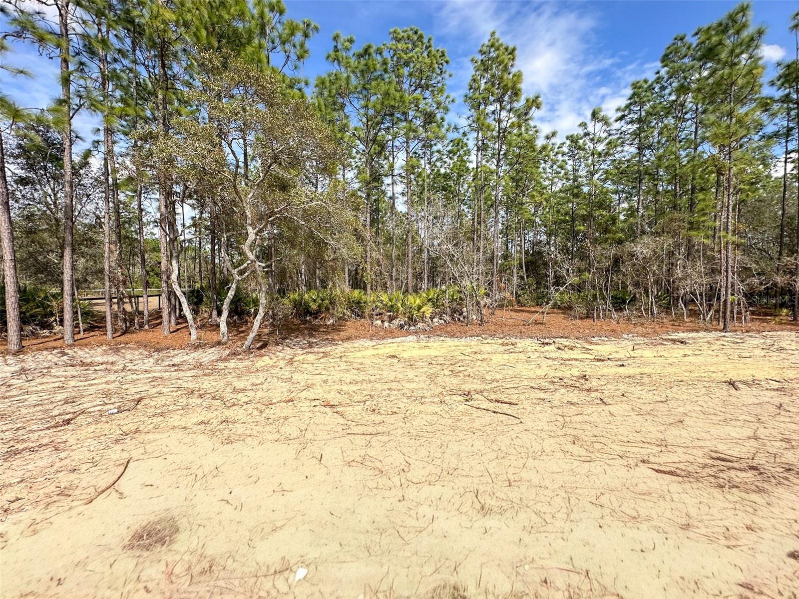 Image 5 of 7 For 4400 Deckwood Drive