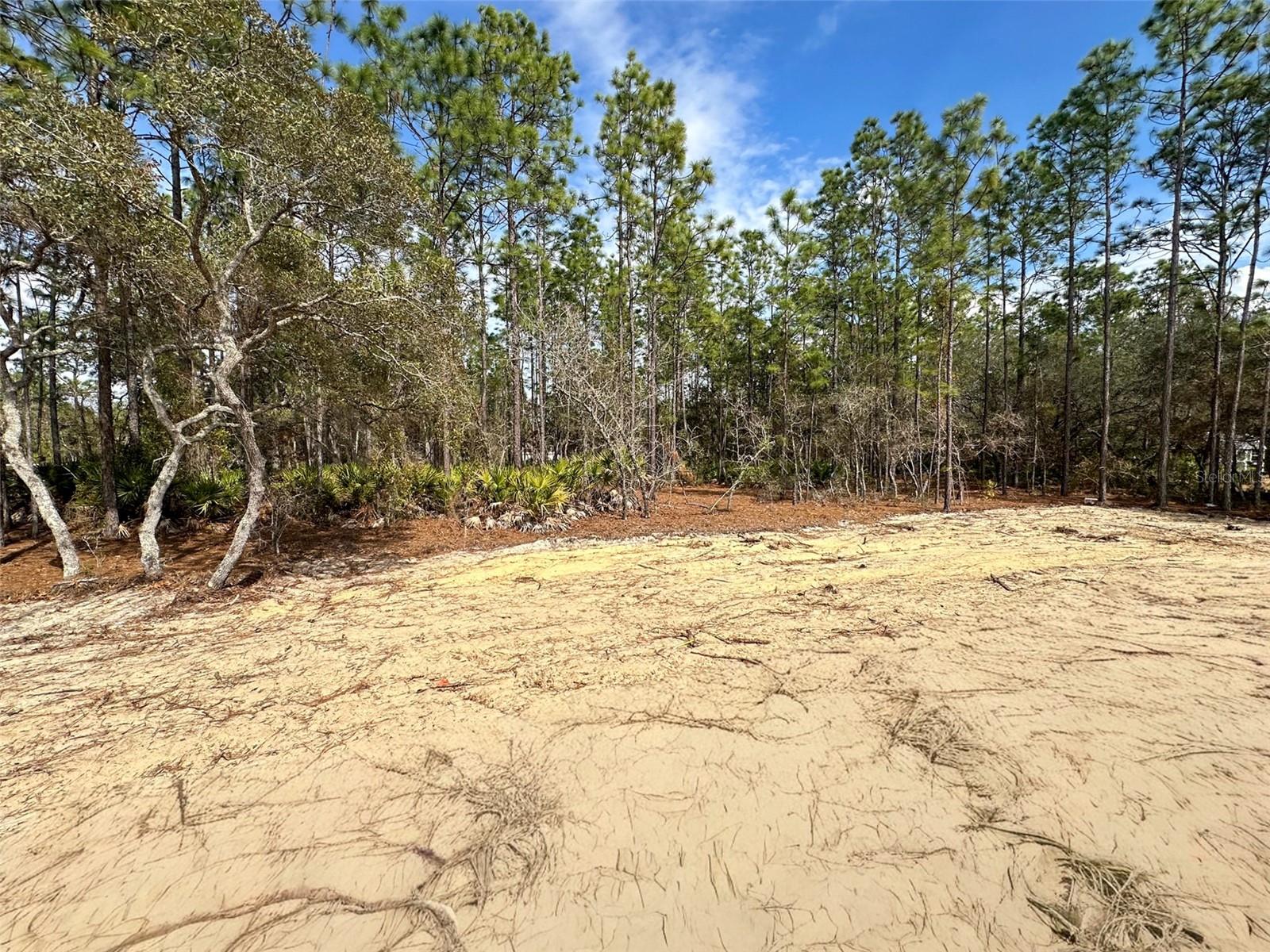 Image 6 of 7 For 4400 Deckwood Drive