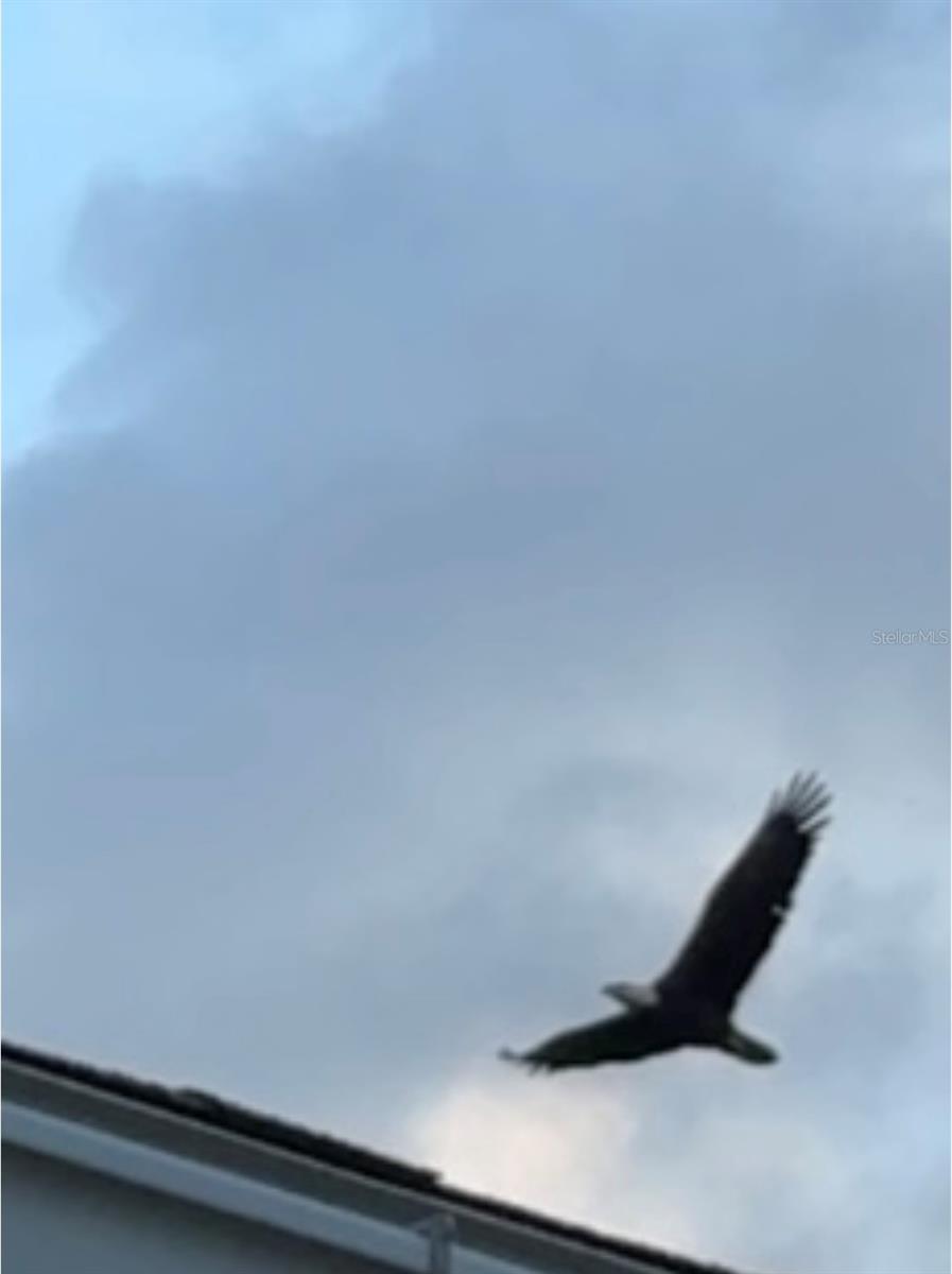 Image 82 of 82 For 6426 Drake Court