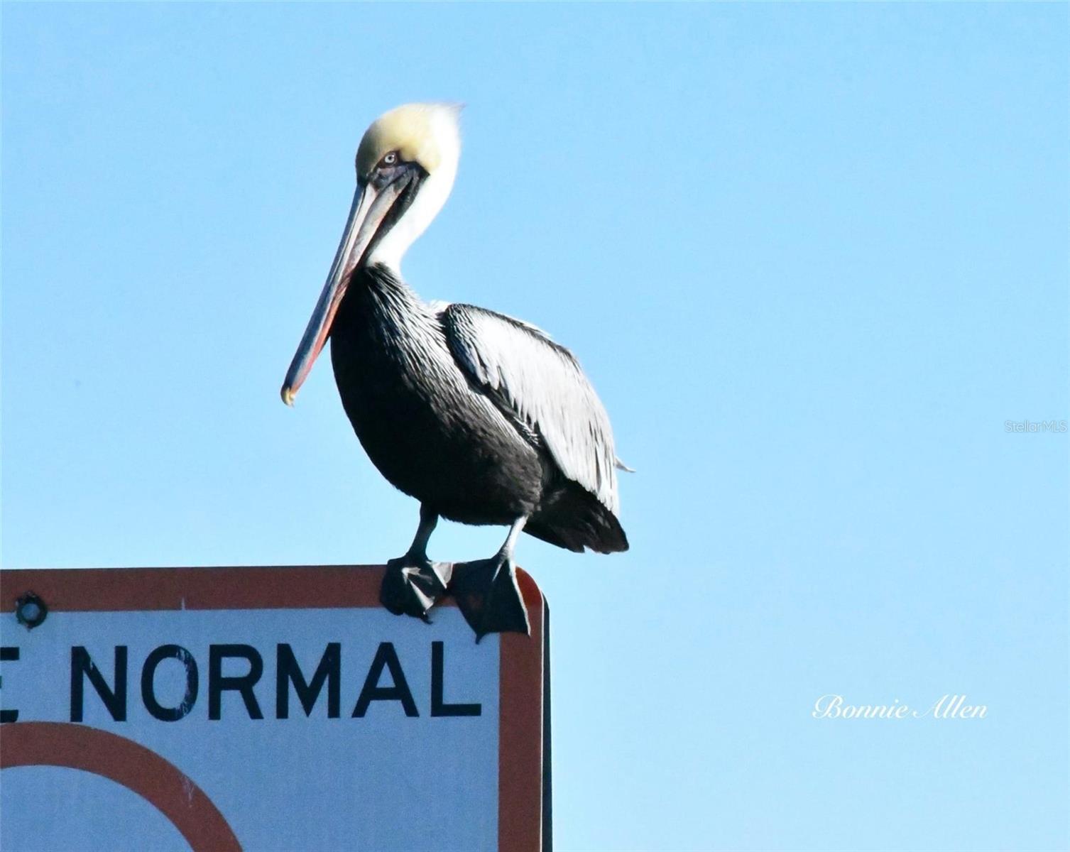 Listing photo id 29 for 12809 4th Isle