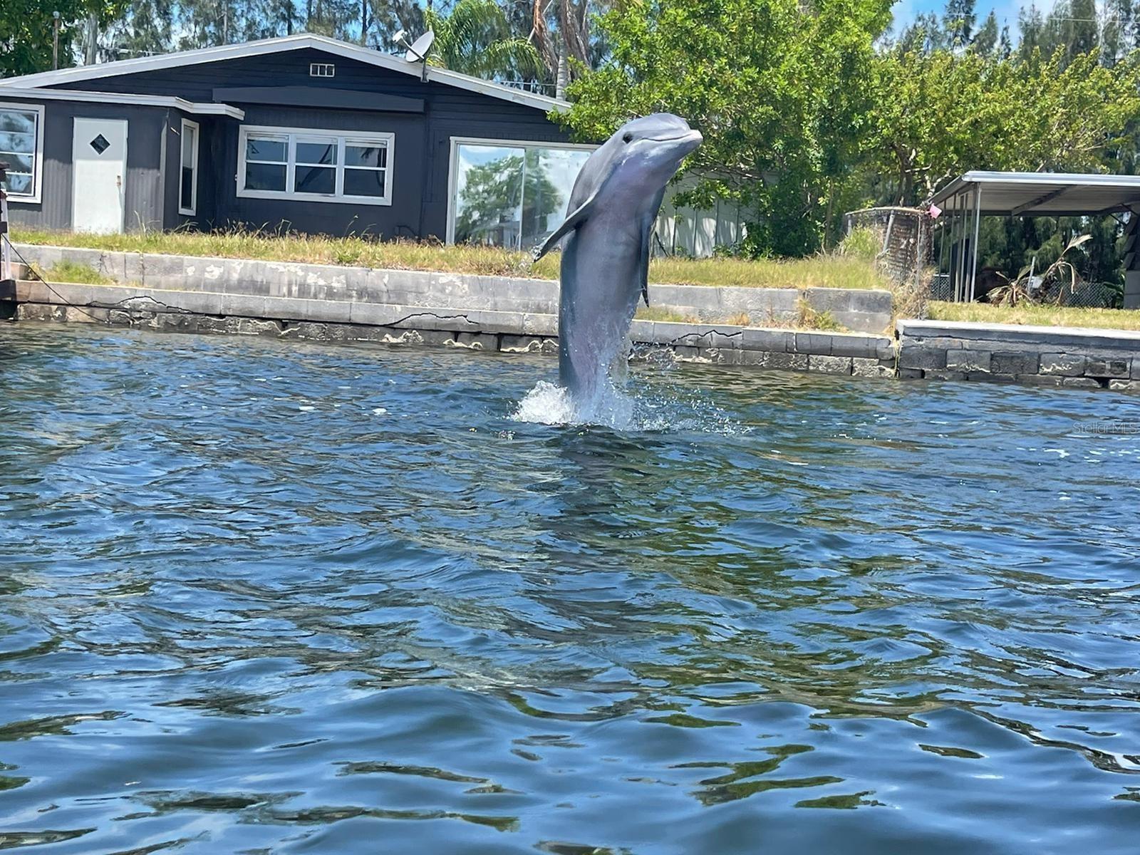 Listing photo id 30 for 12809 4th Isle