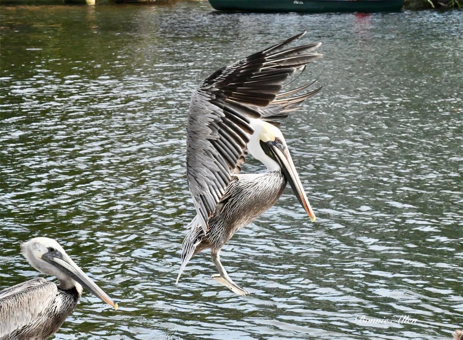 Listing photo id 70 for 12809 4th Isle