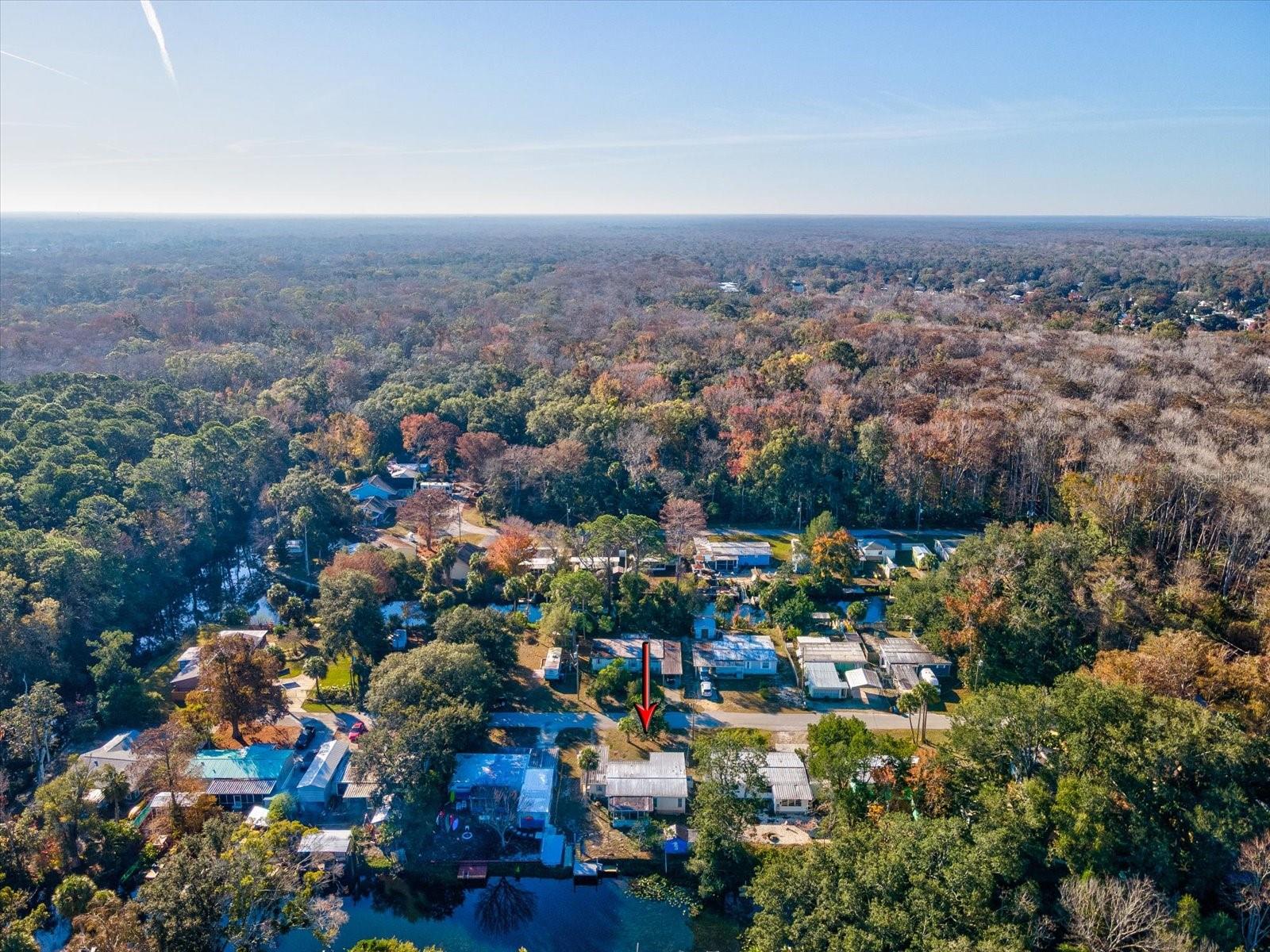 Image 44 of 56 For 6439 Theresa Avenue