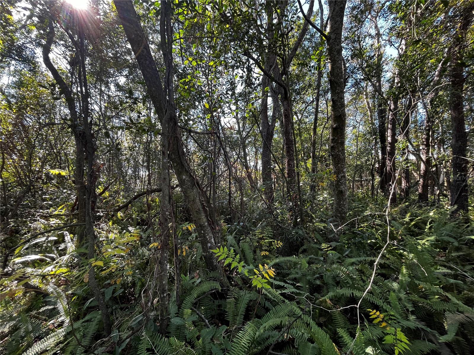 Image 2 of 4 For 2293 Marietta Avenue