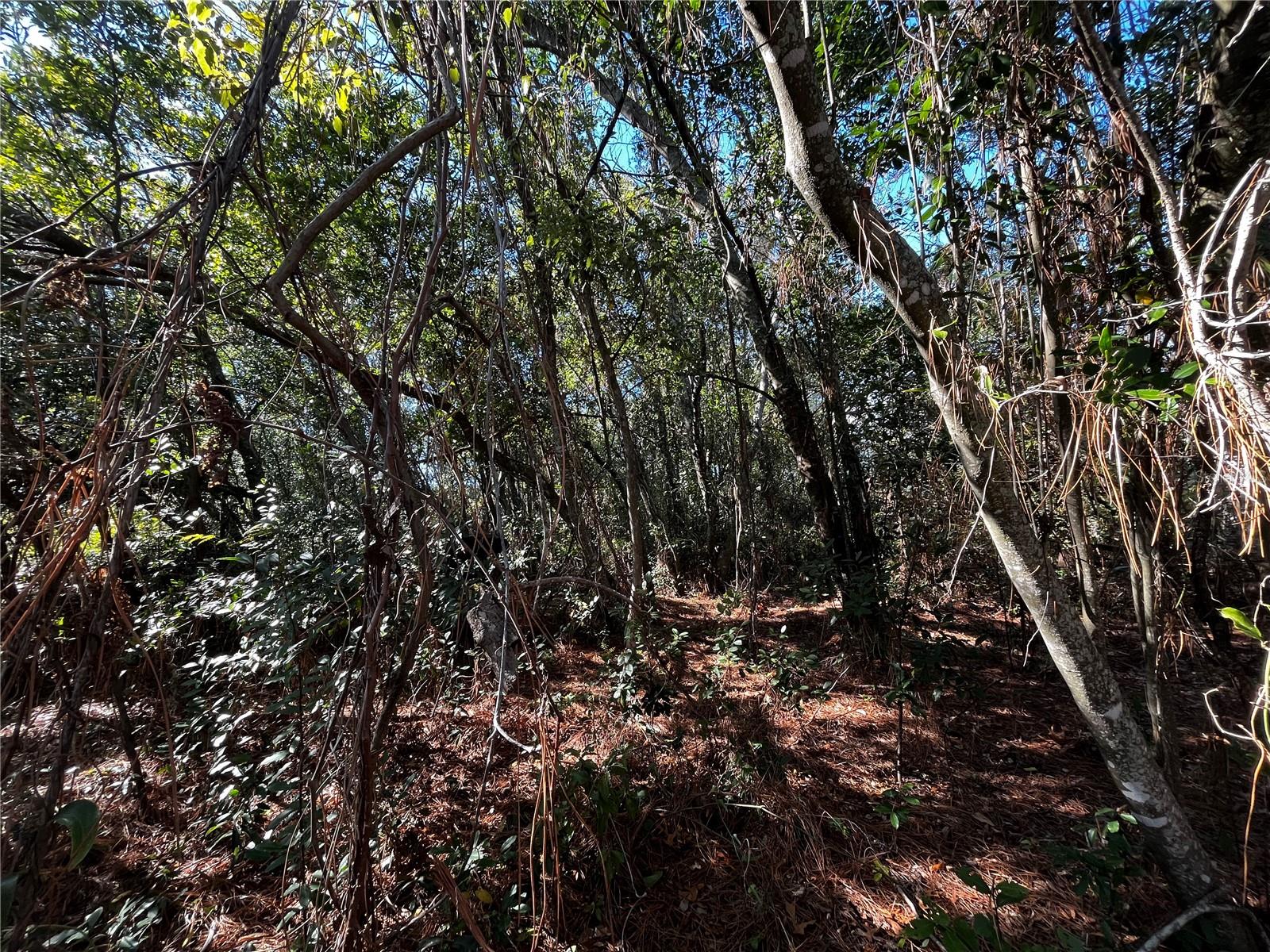 Image 3 of 4 For 2293 Marietta Avenue