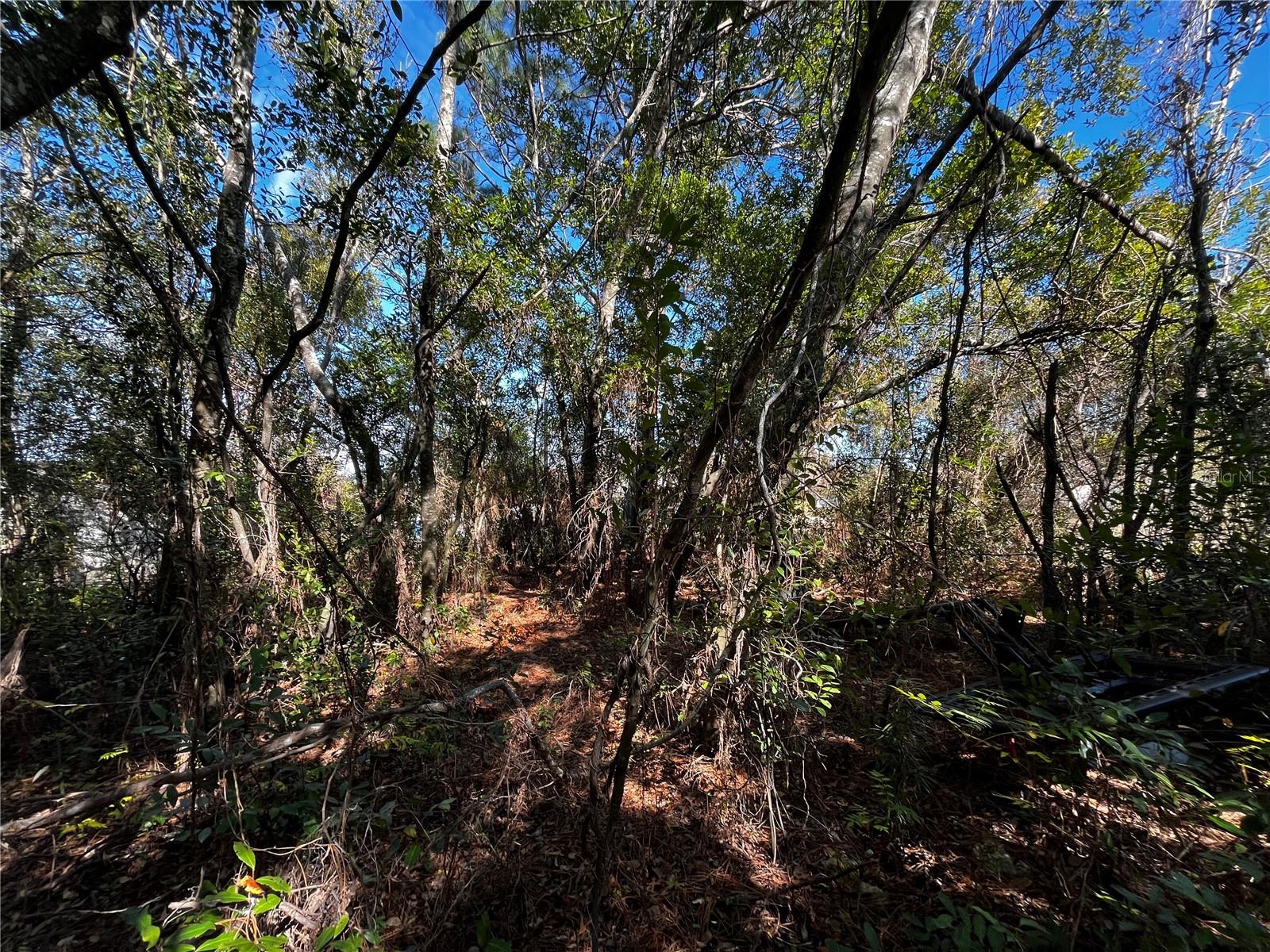 Image 4 of 4 For 2293 Marietta Avenue