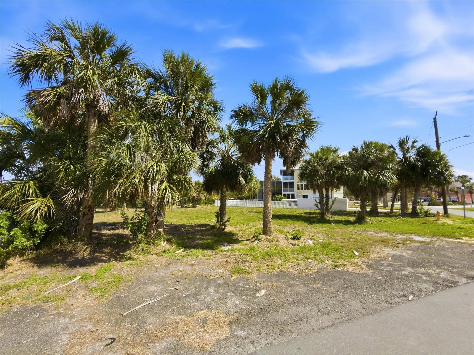 Image 7 of 8 For Deedra Circle