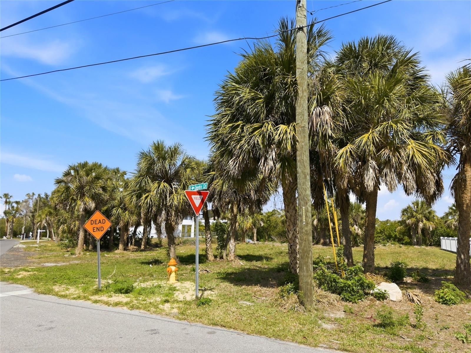 Image 8 of 8 For Deedra Circle