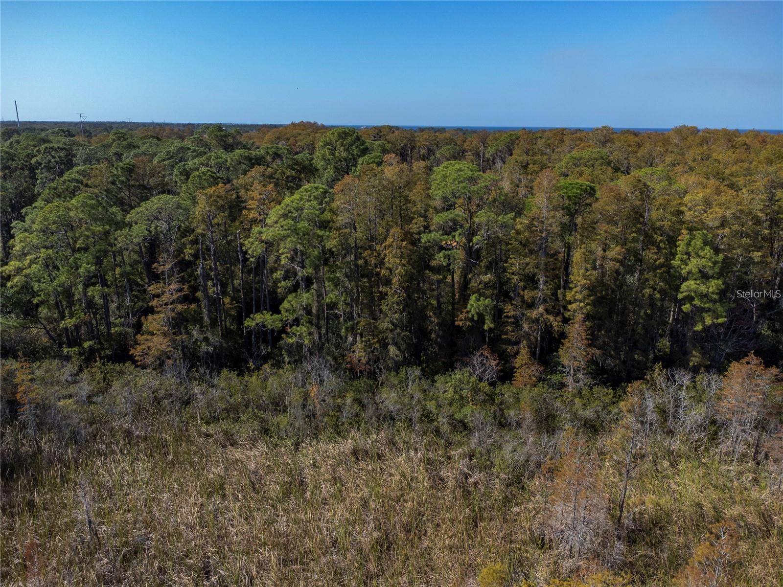 Listing photo id 3 for No Address Assigned