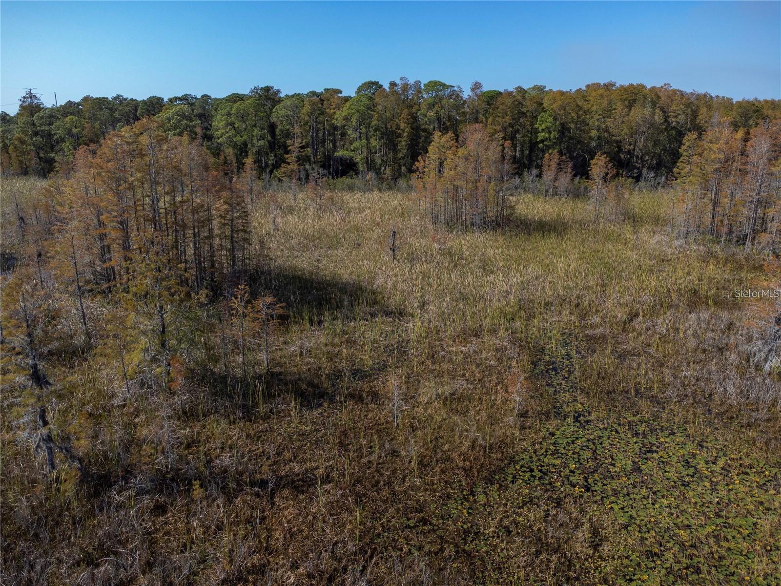 Listing photo id 4 for No Address Assigned