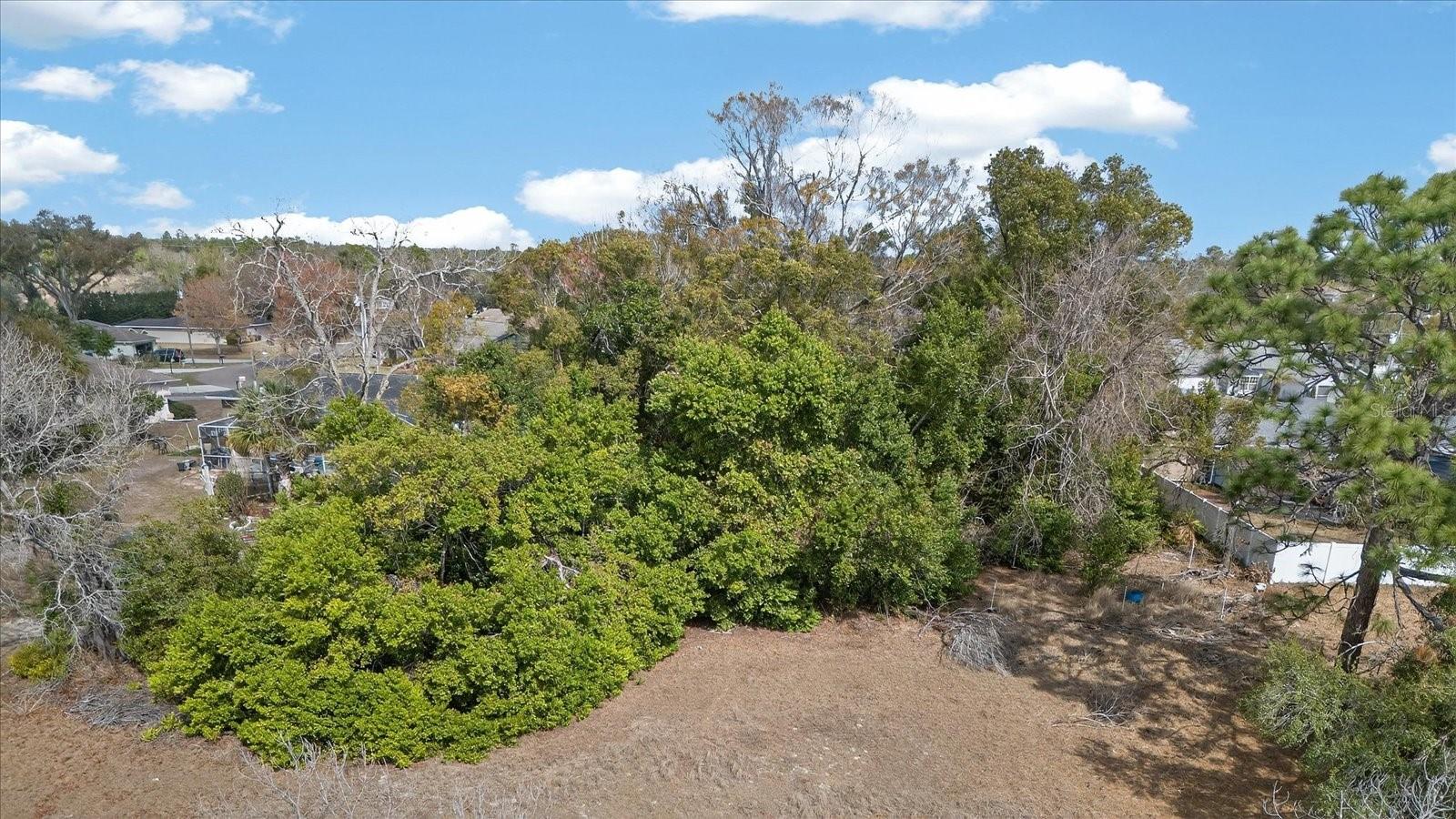 Image 14 of 17 For 2411 Glenridge Drive