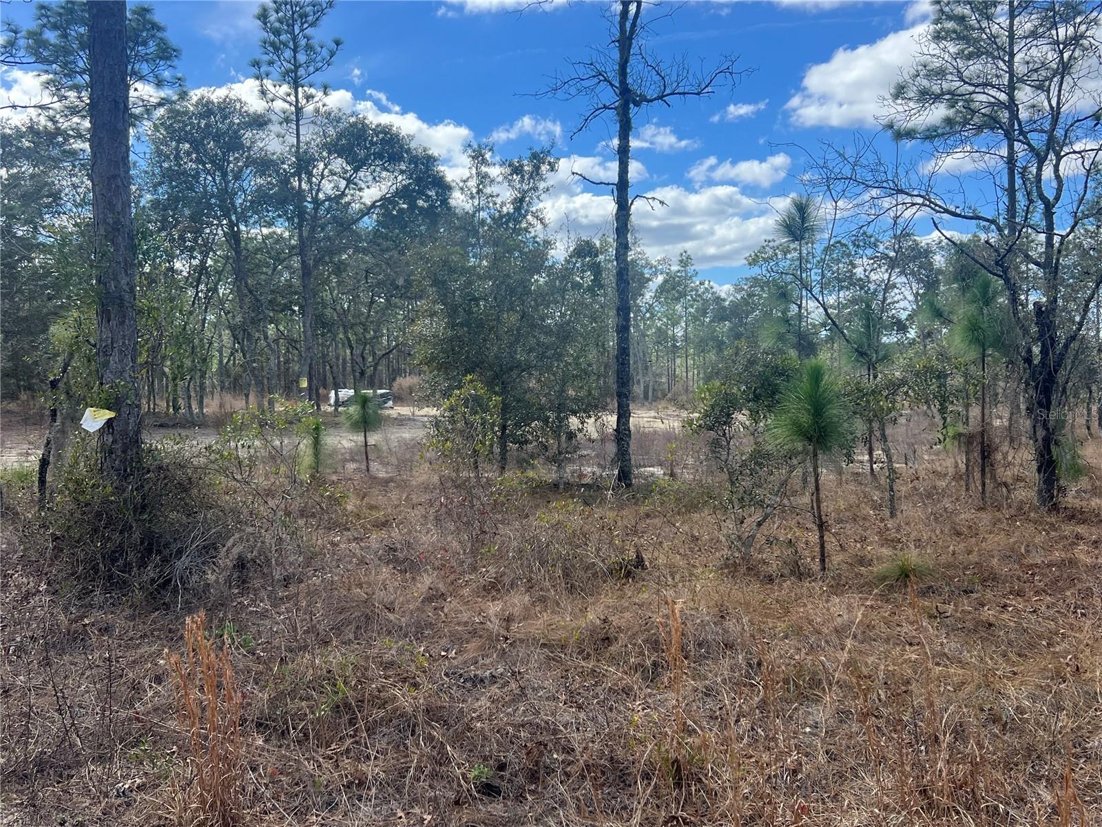 Image 12 of 13 For 0000 135th Court Se