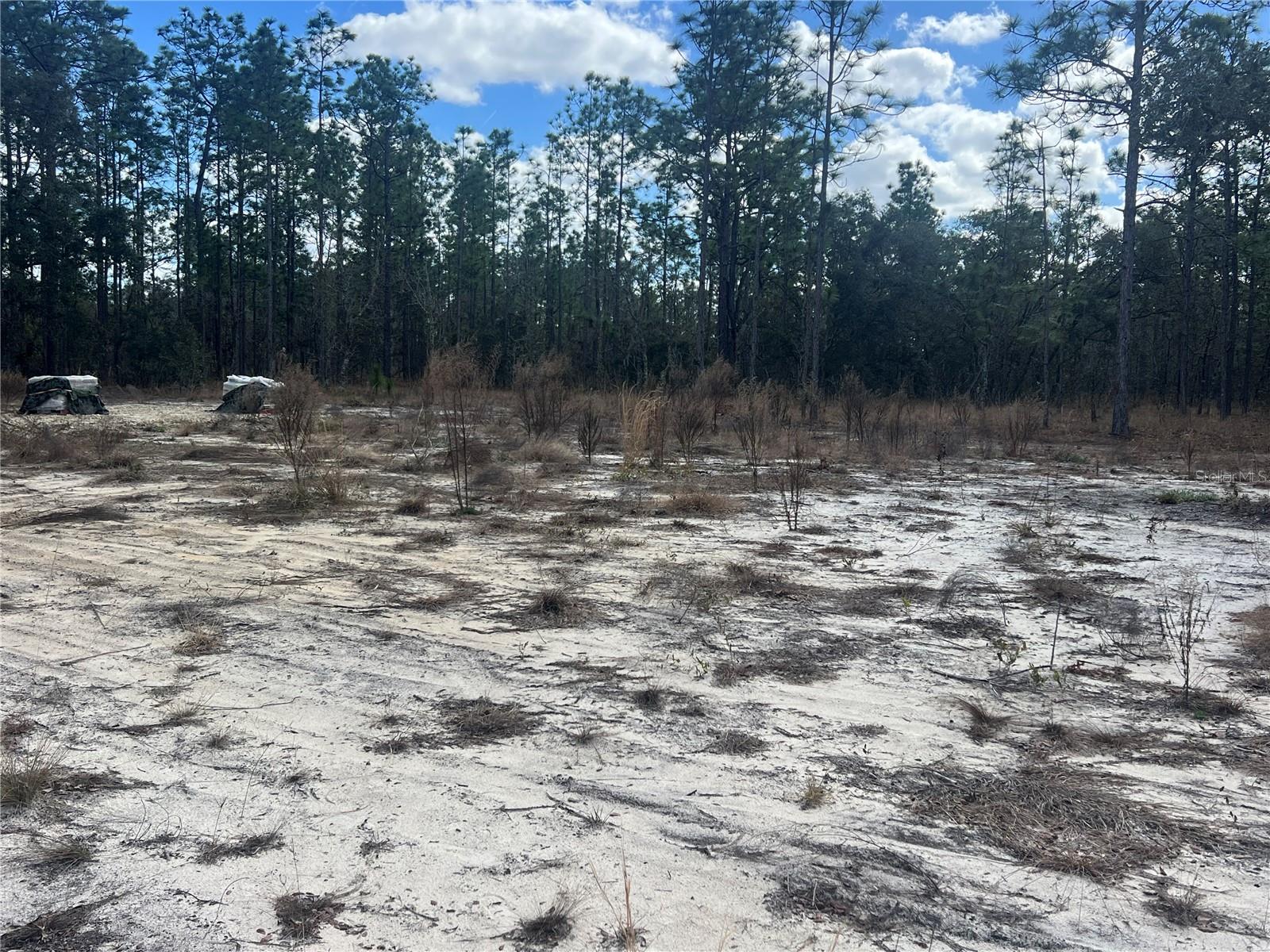 Image 3 of 13 For 0000 135th Court Se