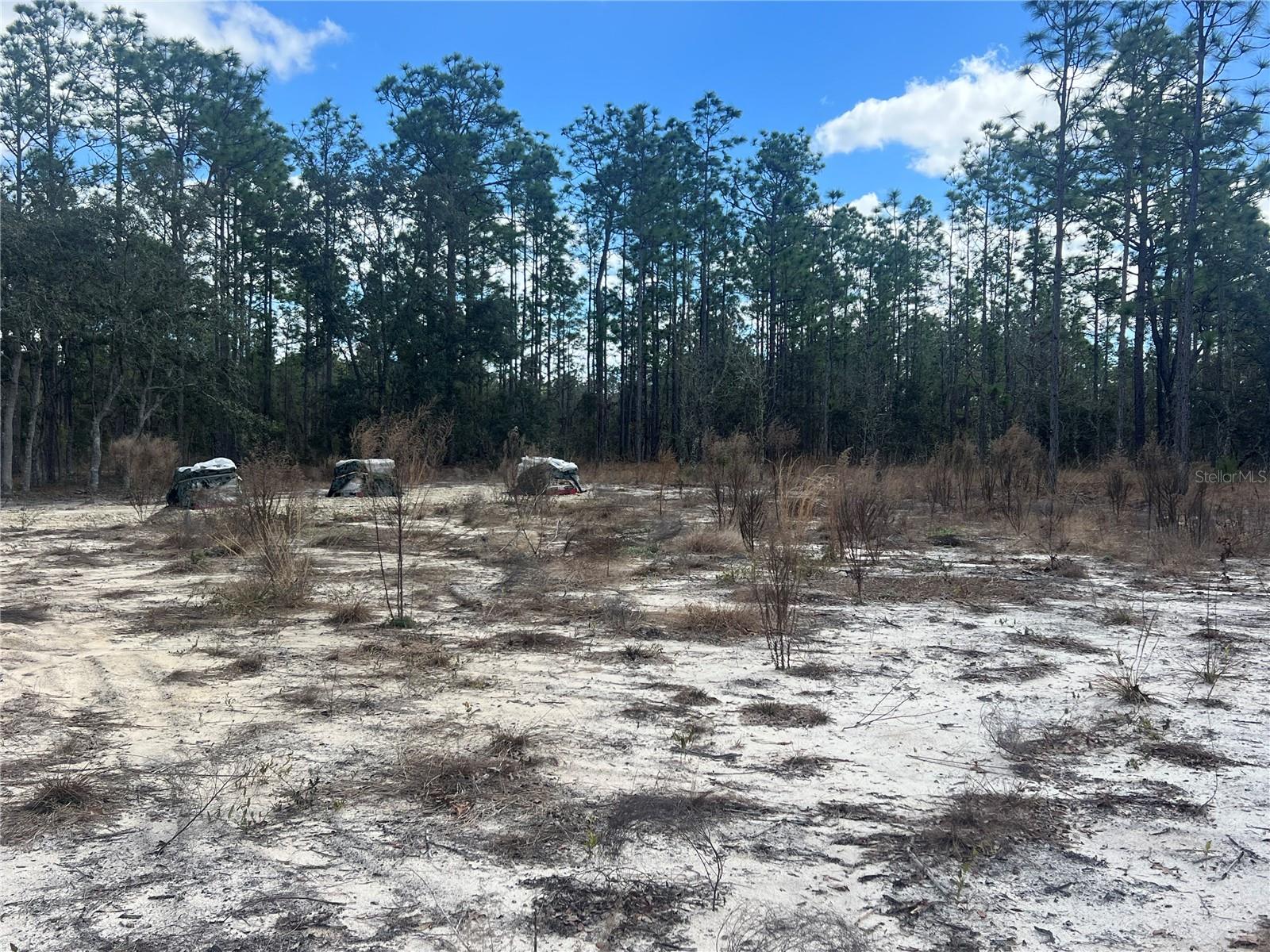 Image 4 of 13 For 0000 135th Court Se