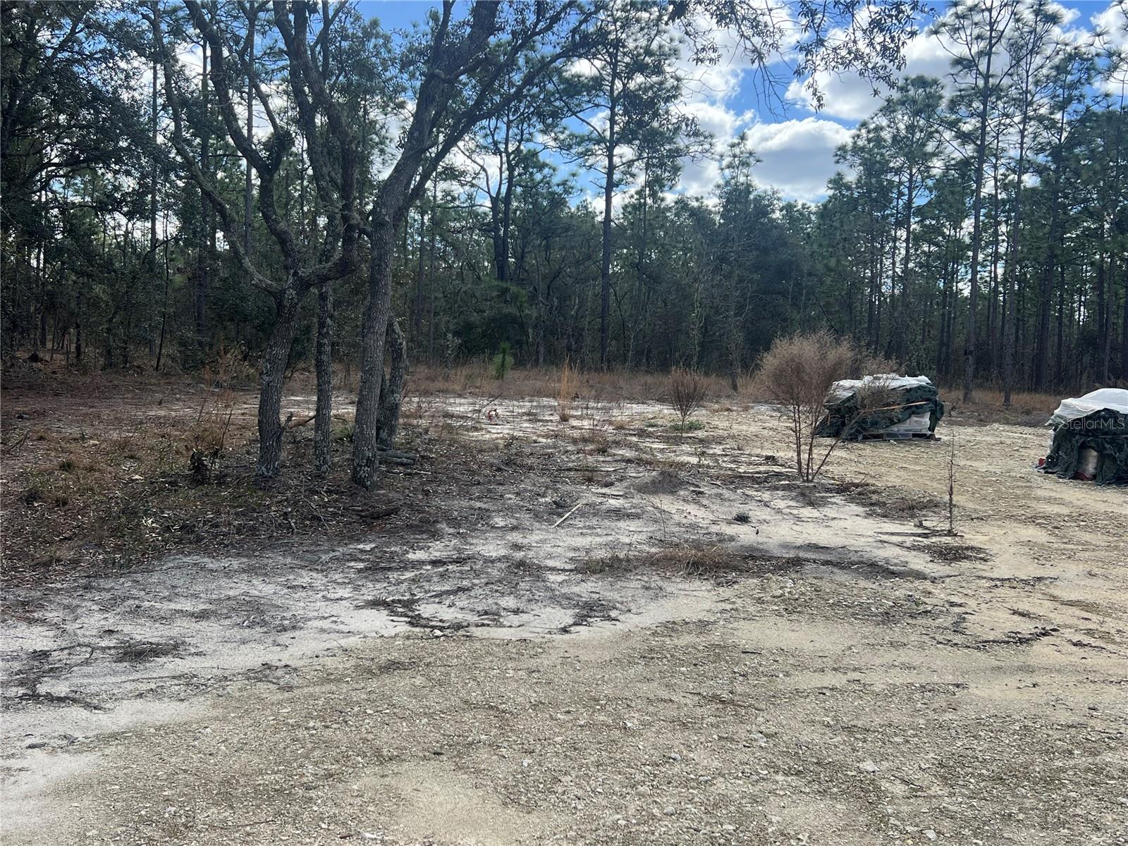 Image 8 of 13 For 0000 135th Court Se