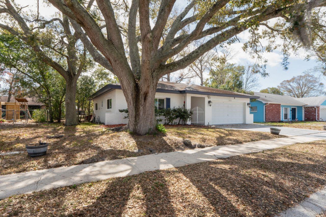 Image 43 of 55 For 8702 Seeley Lane