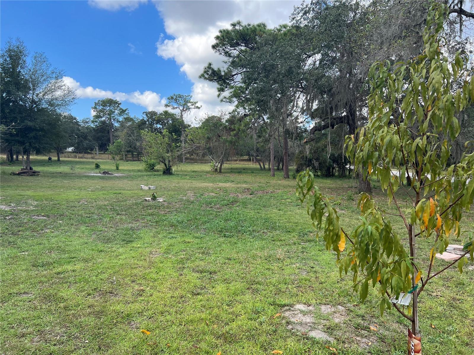 Image 14 of 20 For 12824 Ithica Avenue