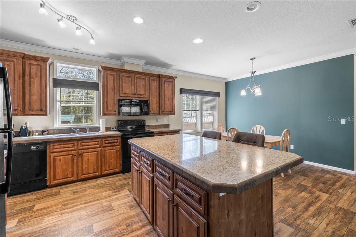 Image 11 of 46 For 19611 Manecke Road