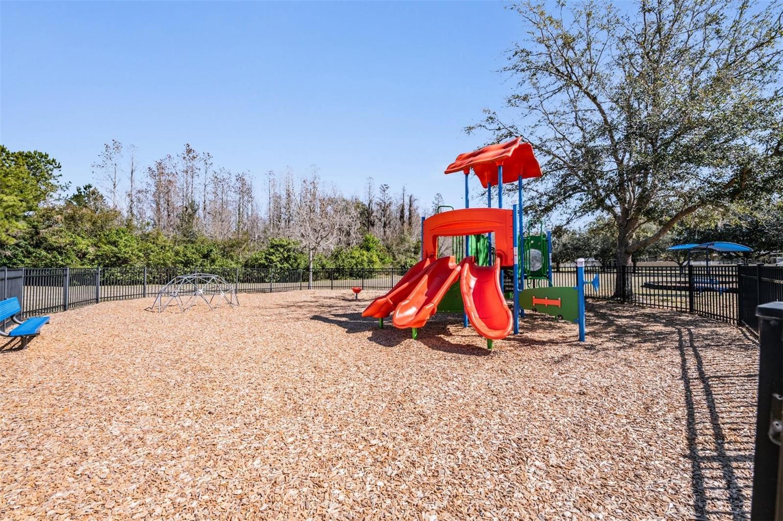 Image 42 of 44 For 12902 Tikal Way