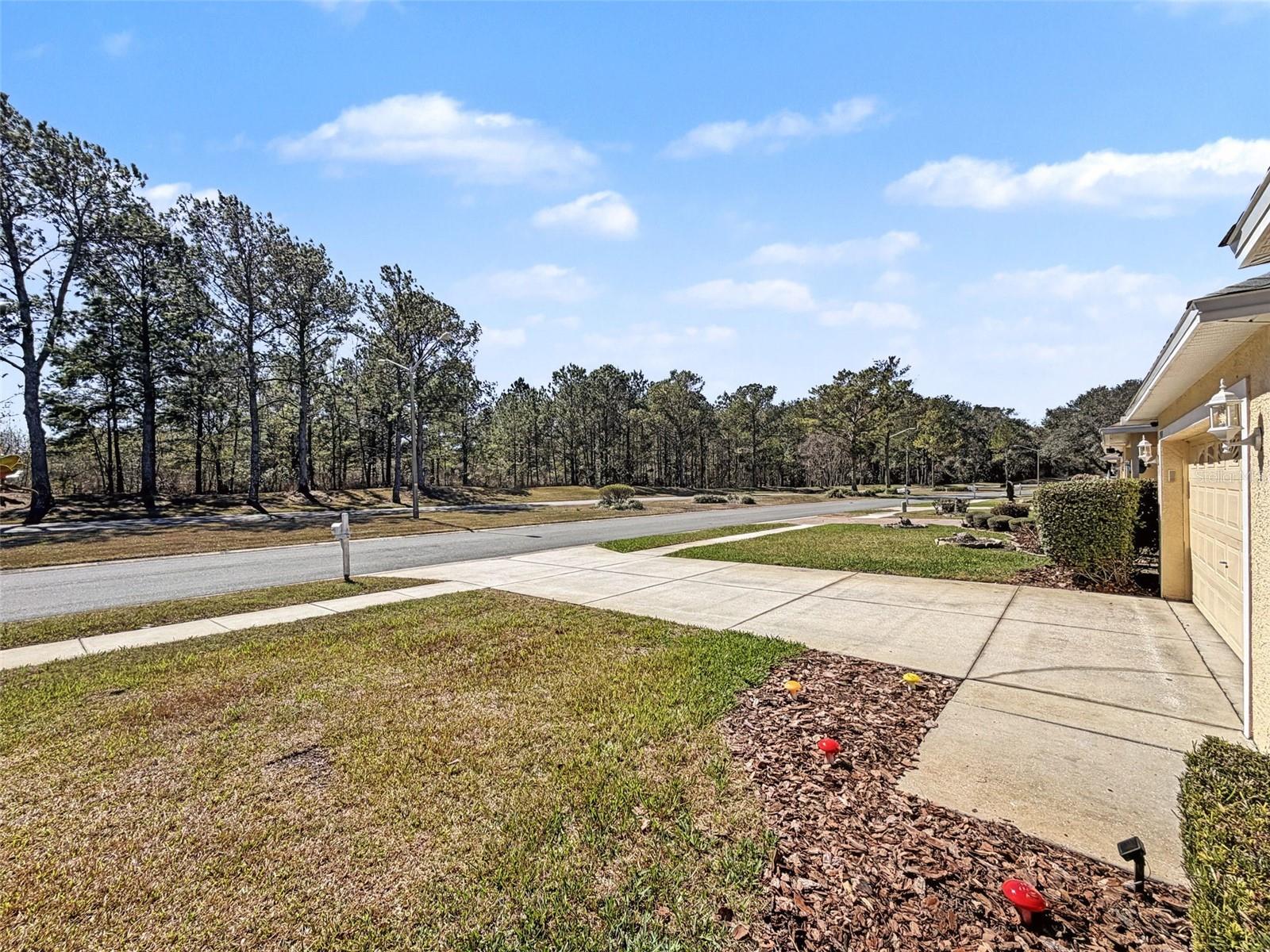 Image 39 of 39 For 17429 Eagle Trace Drive