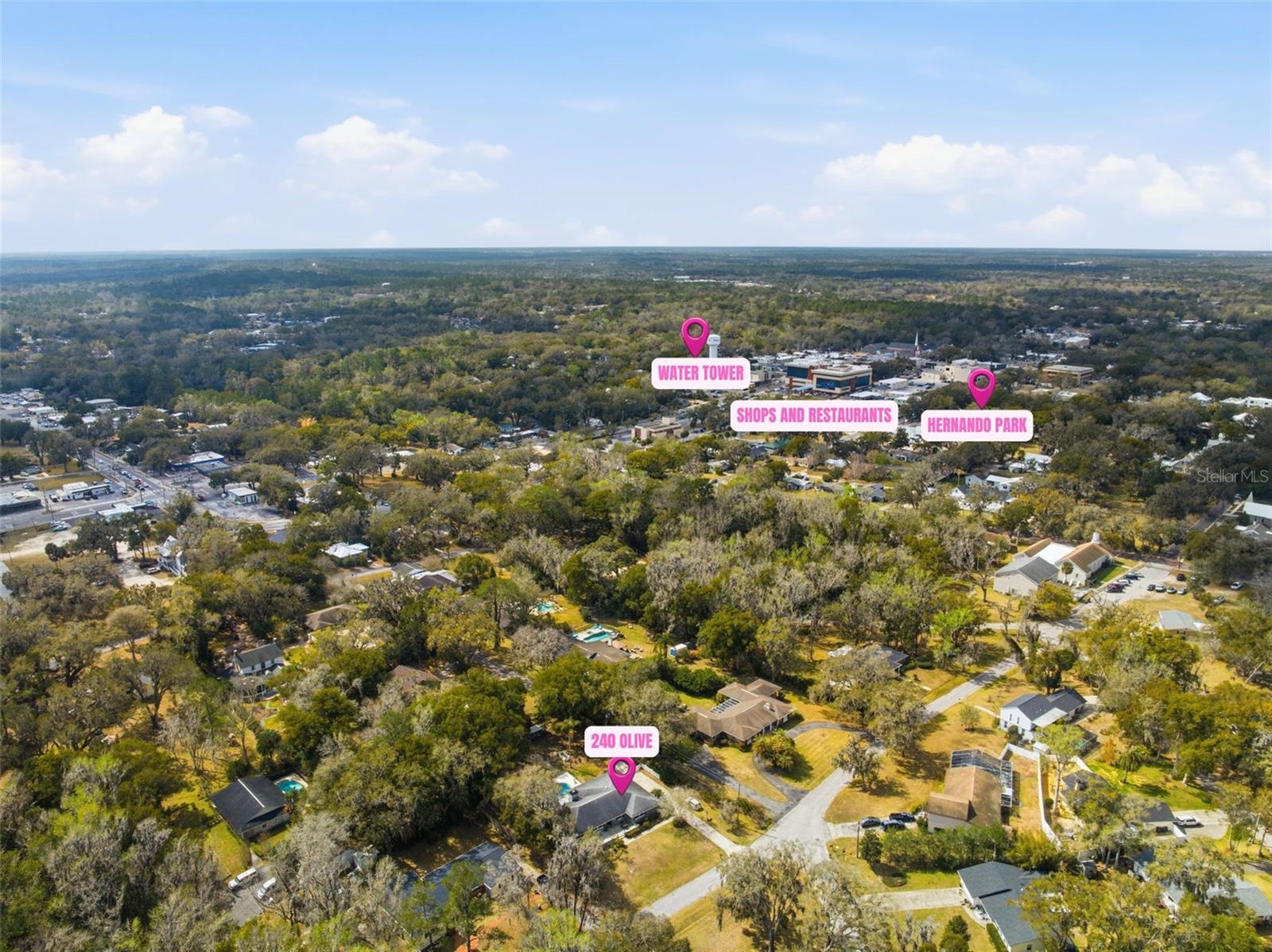 Image 37 of 73 For 240 Olive Street