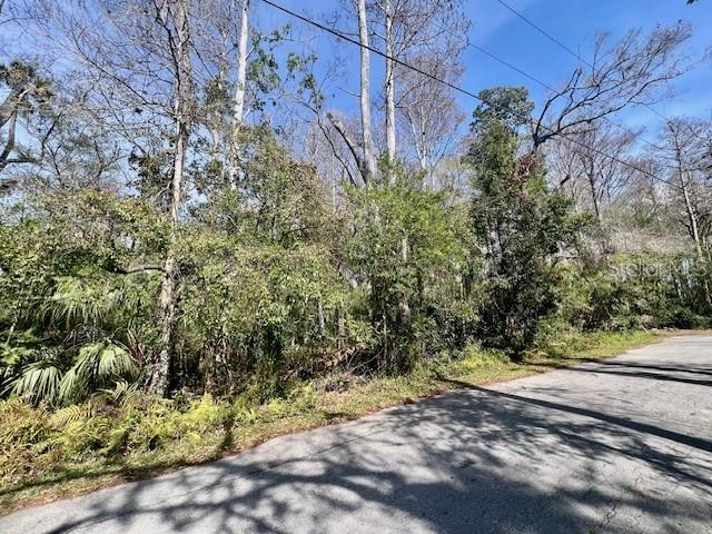 Image 10 of 18 For 0 Southwood Court