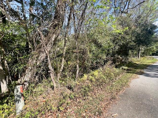 Image 15 of 18 For 0 Southwood Court