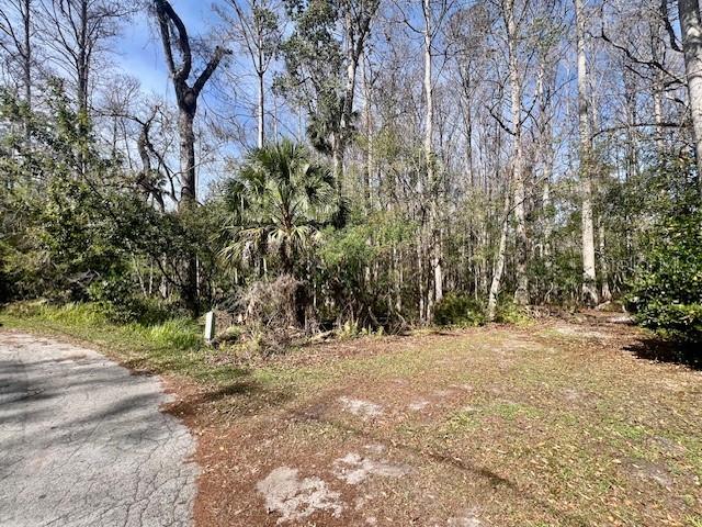 Image 5 of 18 For 0 Southwood Court