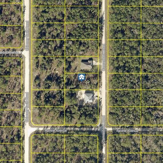 Details for Lot 16 Canvasback Road, WEEKI WACHEE, FL 34614