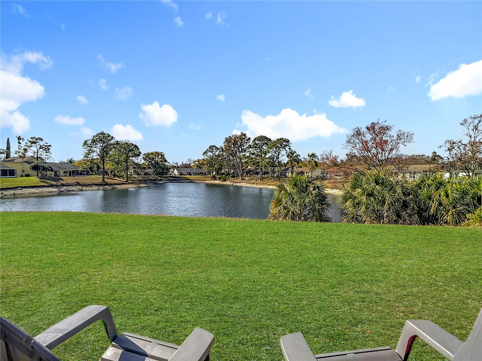 Image 46 of 71 For 12303 Fieldstone Lane